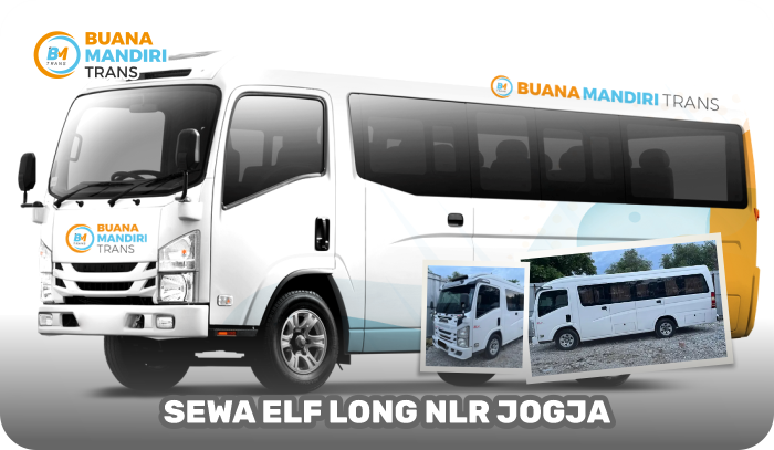 ELF LONG NLR
